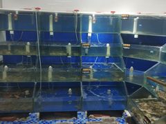 水产区-雅逸居海鲜小厨