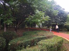 -西安汉城湖景区