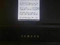 -雅歌音乐培训中心·钢琴培训·乐器培训(交道口店)