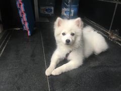 -驭力搏击健身(张江高科店)