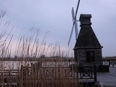 -宁波杭州湾国家湿地公园