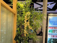 -四季合味椰子鸡(南山大冲店)