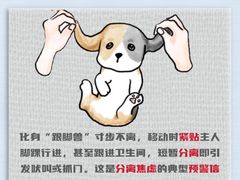 -翊宠yipet猫狗购宠庄园犬舍•猫舍