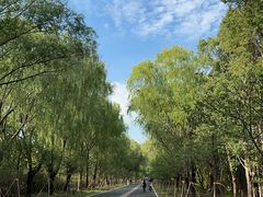 -同里国家湿地公园