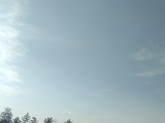 -汉长安城未央宫国家考古遗址公园