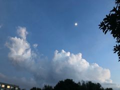 -CoCo都可(十全东店)