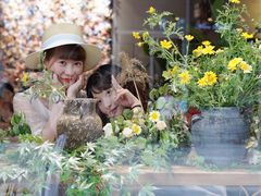 -卓花境Flowerwonderland花店