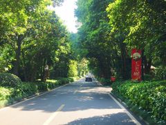 爱情隧道-南京东郊国宾馆