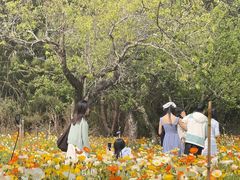 -名花谷生态庄园