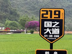 -靖西鹅泉风景区