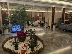 -郑州新郑国际机场T2航站楼-贵宾厅B区