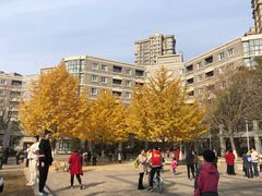 -辽宁大学(崇山校区)