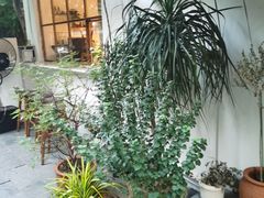 -Kekimatata 生日蛋糕·烘焙教学