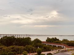 -宝安西湾红树林湿地公园