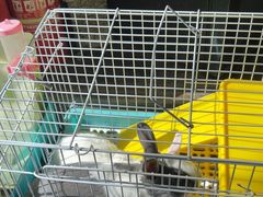 -车里行间汽车会员俱乐部·KSG隐形车衣星光店