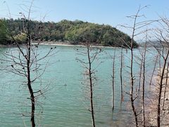 -天目湖山水园