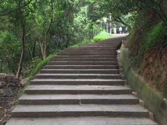 -仙岳公园