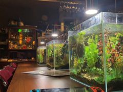 -天地無用GAME BAR