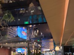 -桂满陇·海市蜃楼·黑金(国金店)