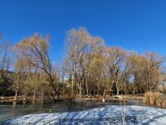 -石家庄市动物园