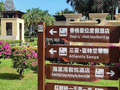 -三亚海棠湾喜来登度假酒店