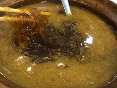 砂锅红薯粉-翠清酒家(万丰路店)