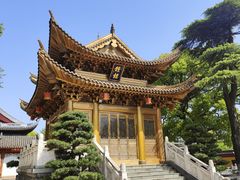 -上海东林寺(金山区)