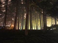 -曲江春晓苑