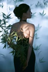 -WAVE SODA摄影工作室