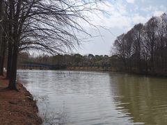 -上海海湾国家森林公园