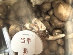 -蘑界·野生菌火锅(深业上城店)
