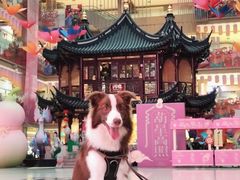 -中街·盛京龙城