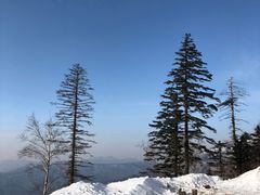 -雪谷
