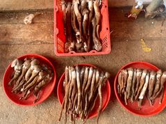 -云南木水花野生菌交易中心