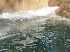 -青岛香根温泉酒店