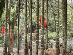 -海南热带野生动植物园