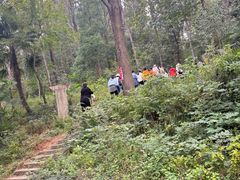 -青龙山国家森林公园