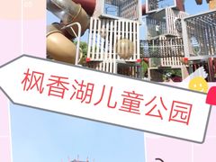 -枫香湖儿童公园