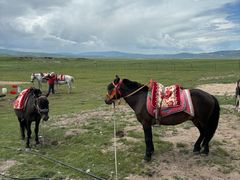 -青海湖国家重点风景名胜区