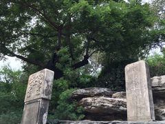 景点-景山公园