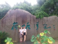 -荷塘月色湿地公园·向阳花洲