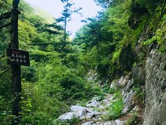 -青峰峡国家森林公园