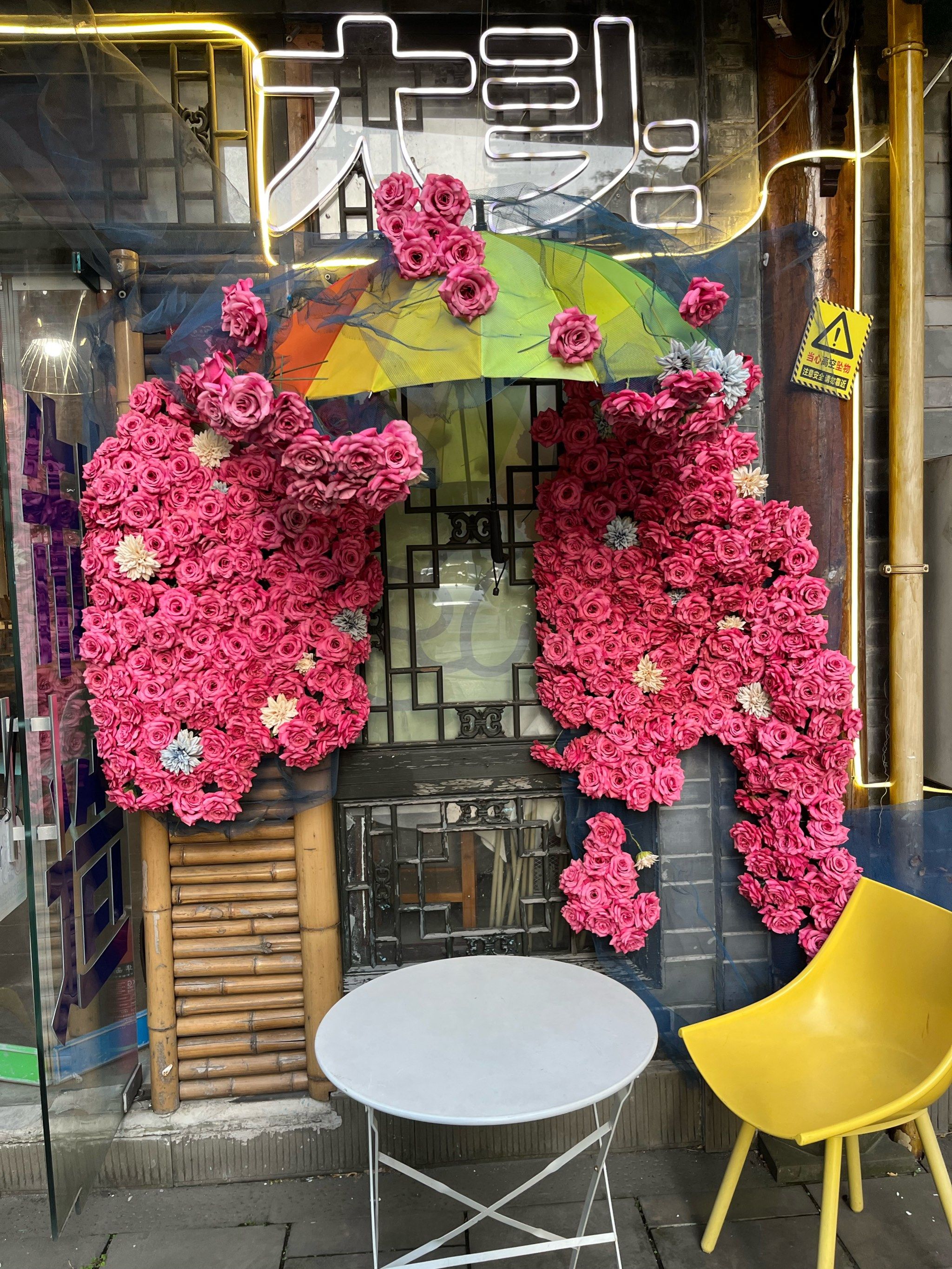 玫瑰花墙美翻天