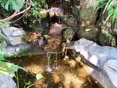 -谷咖啡·鲜花绿植花园餐厅