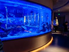 -上和臻品中国菜(花园街店)