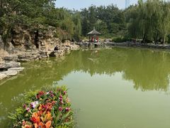 -申德勒加油站西餐厅(日坛路总店)
