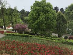 -铁山坪森林公园