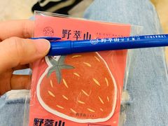 -野萃山·潮汕厚果汁(十亩地店)