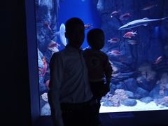 -成都浩海立方海洋公园