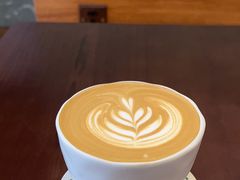 -SAFARI COFFEE